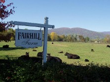 Fairhill Farm