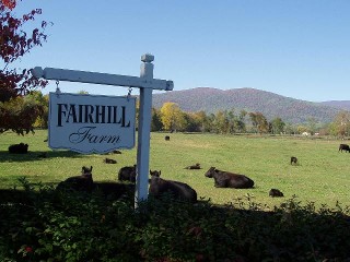 Fairhill Entrance in fall